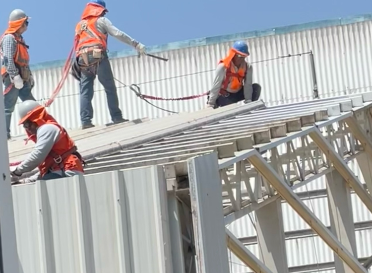 Captura de pantalla 2026-03-16 135835